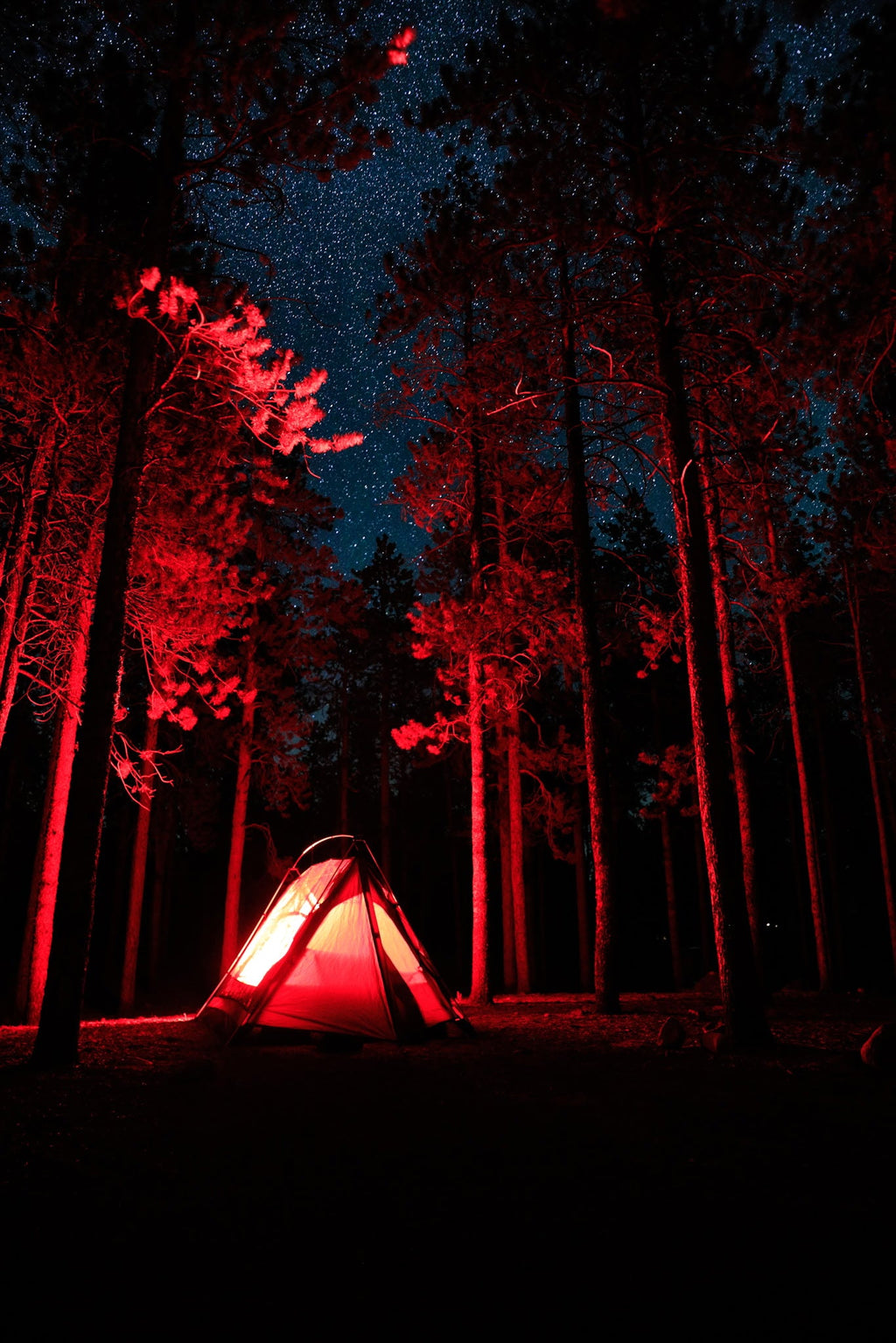 Sky View Duo Tent